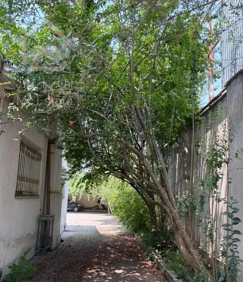 ویلایی لوکس.۷۸۰ متری واقع در بلوار پاسداران