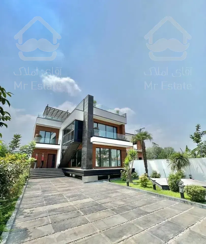 مدرن و  سند تک برگ در چمستان