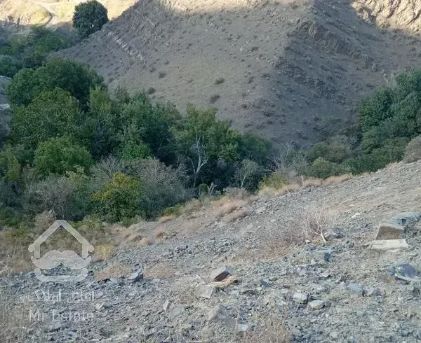 زمین با ویو  برای باغ