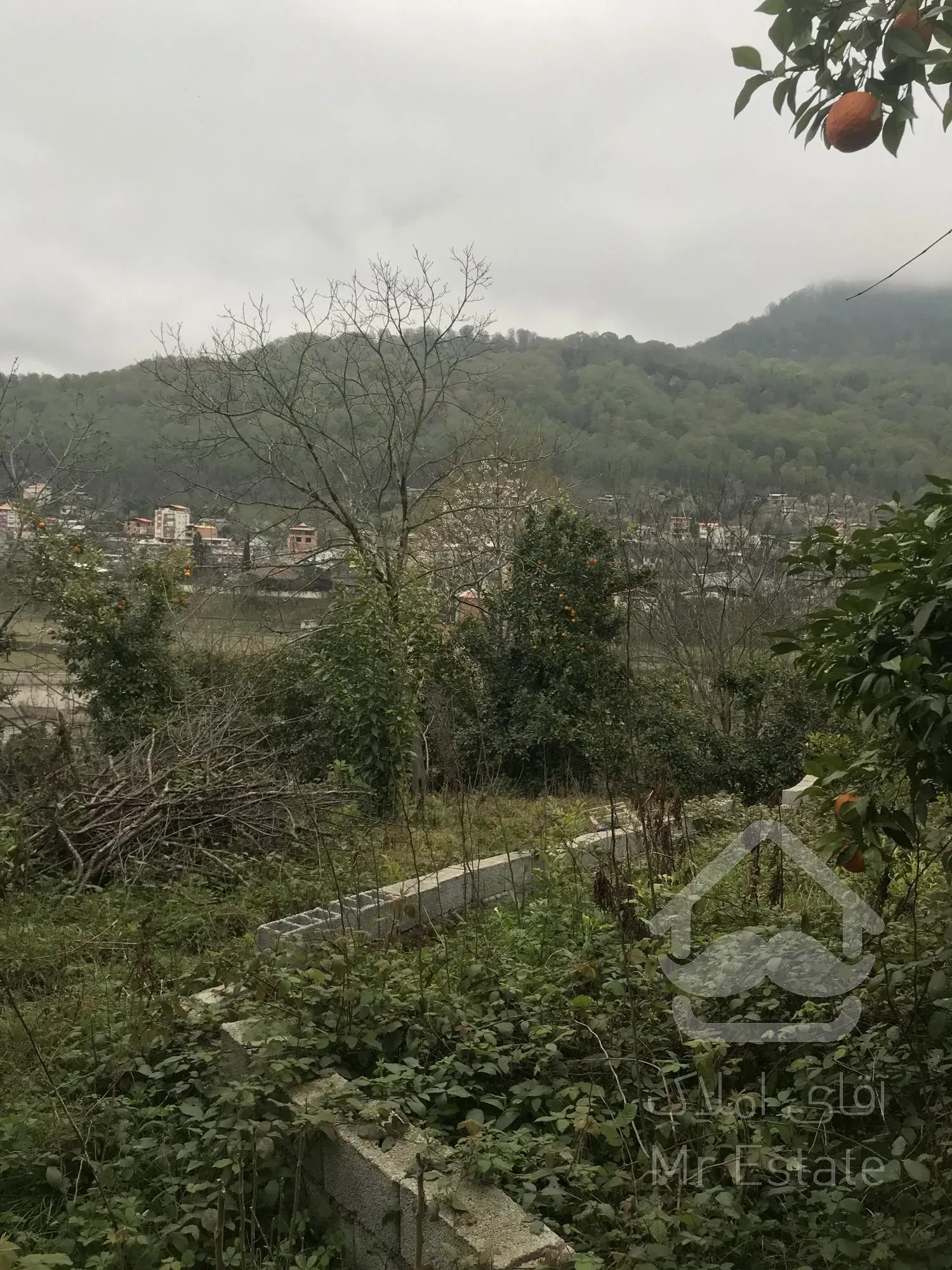 زمین مسکونی، استان مازندران، شهر شیرگاه