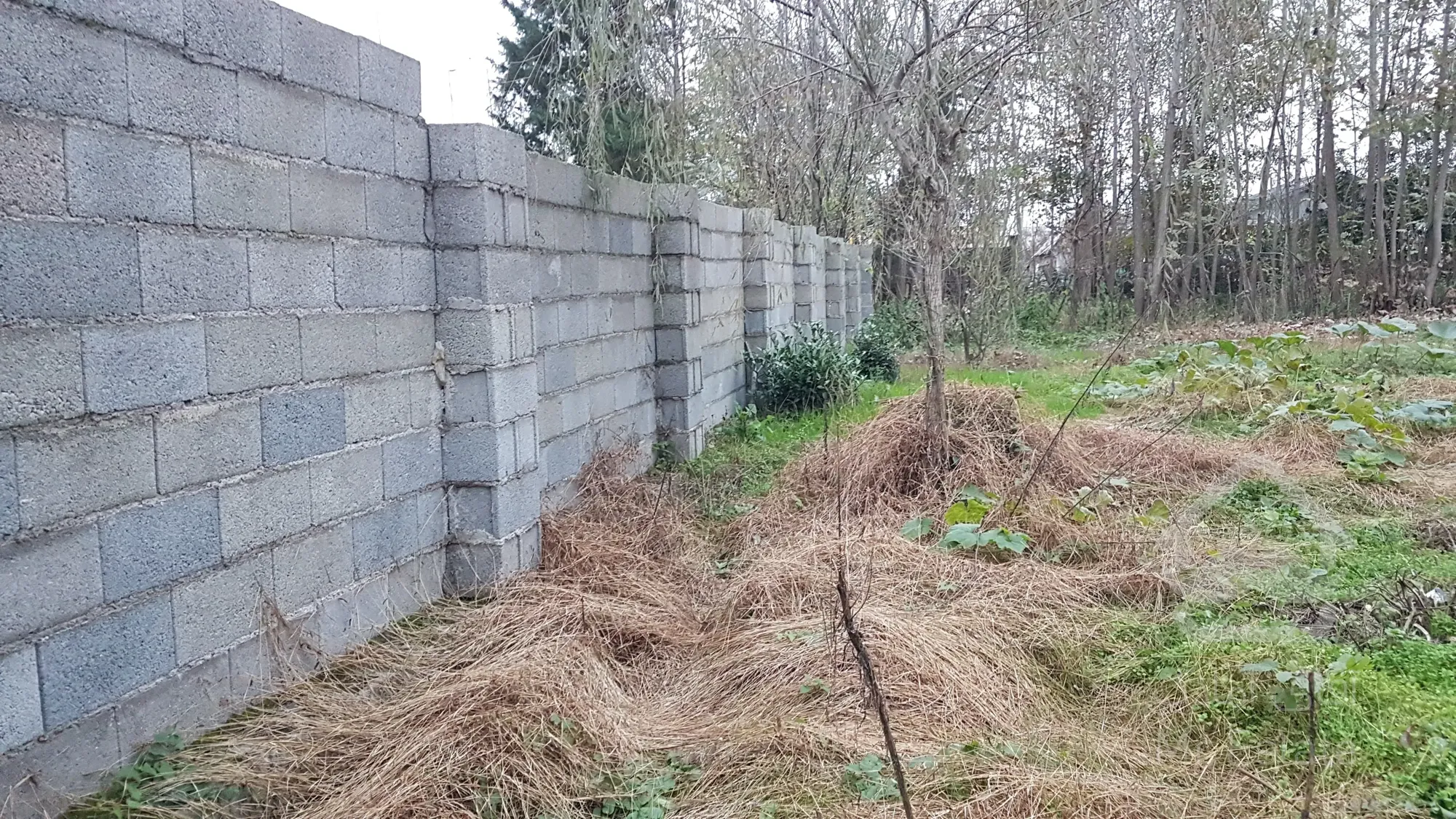 پانصدمتر و پنج دسیمتر زمین مسکونی شهری دارای سند تک برگ