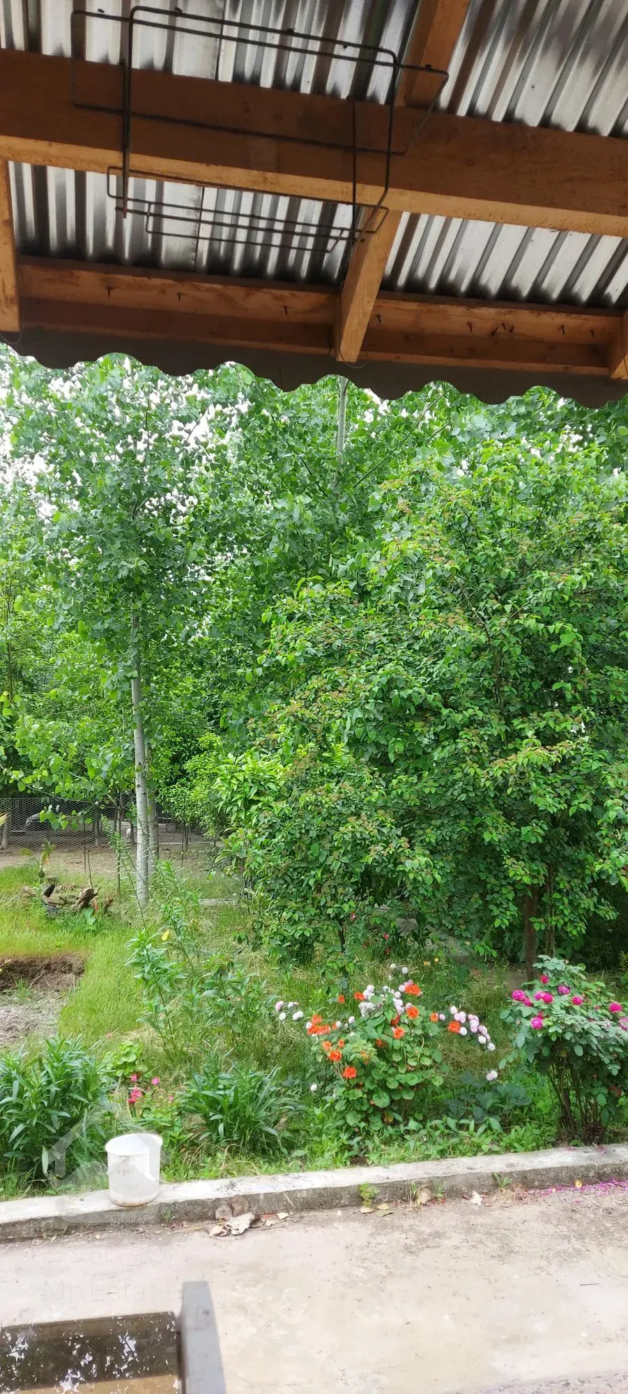 180متر ویلا داخل 3000 متر باغ فروش فوری