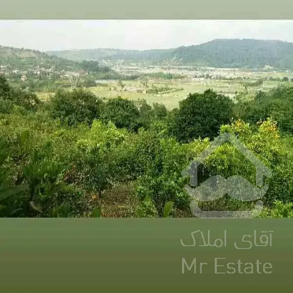 زمین درسوادکوه ویو بینظیر
