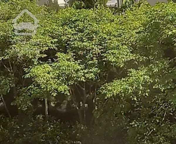 ۸۰ دو خواب در سولقان محله شهید عسگری