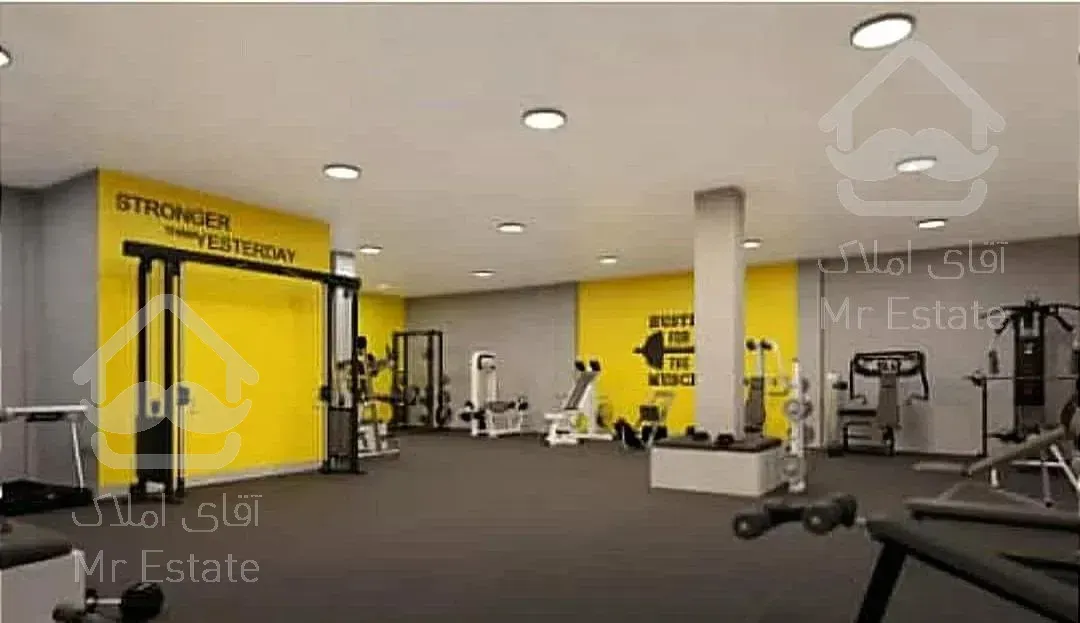 181مترنورگیر شاهپسند زندگی رویایی رونیکاپلاس