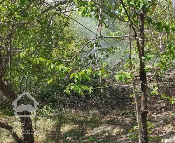 باغ در زریندشت فیروزکوه با تمامی مجوزات ساخت