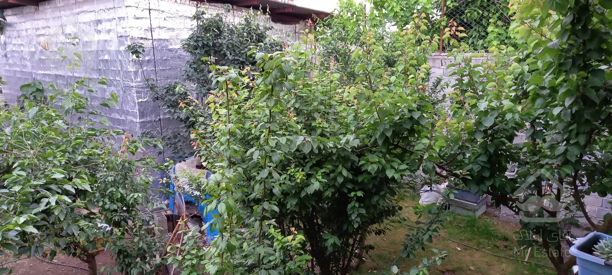 فروش ویلاباغ با ویژگی های عالی در مازندران