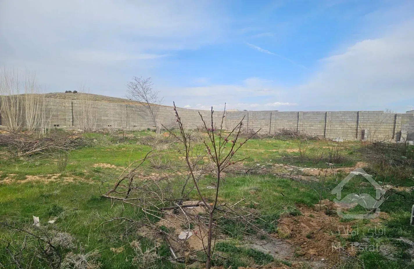 زمین باغ شهری ۷۵۰ متر یک میلیارد جای دبش