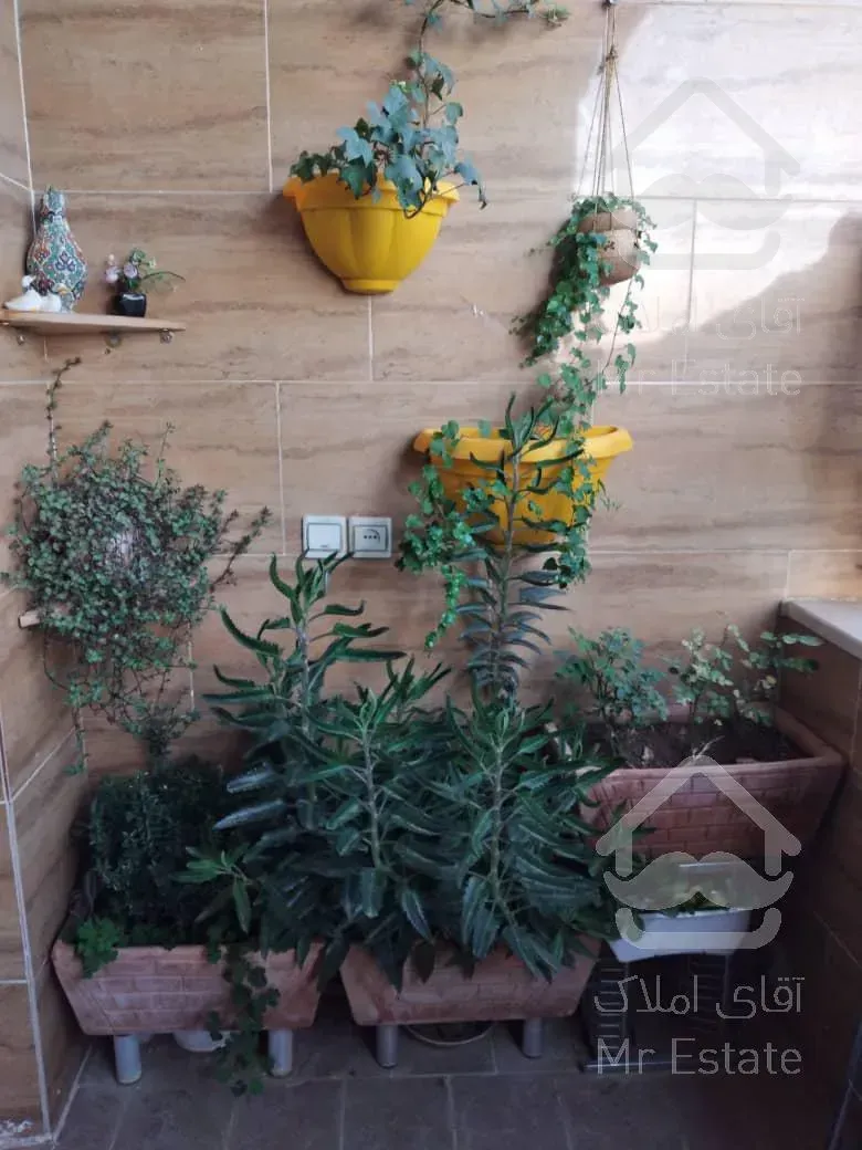 آپارتمان لاکچری