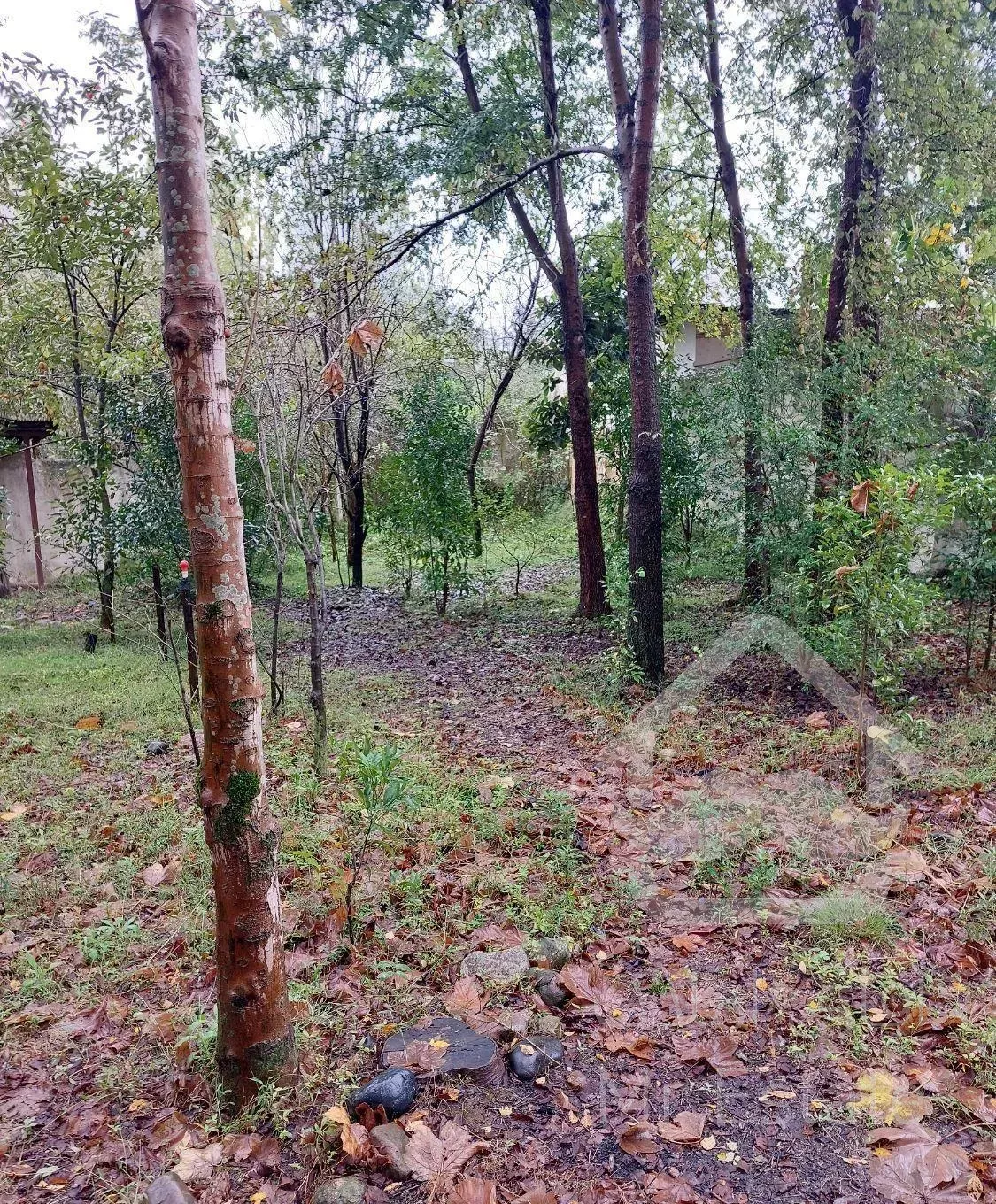 ویلا نزدیک صومعه سرا