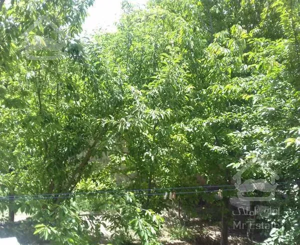 ویلا 1225 متر حاجی بیگ هشتگرد سنددار