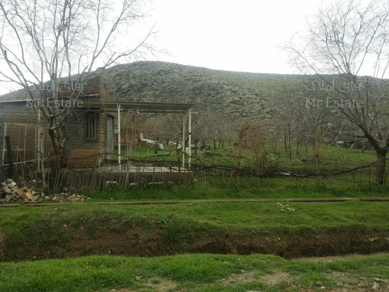 فروش زمین کشاورزی آبی - باغ با برق سه فاز شخصی در شهرستان صحنه