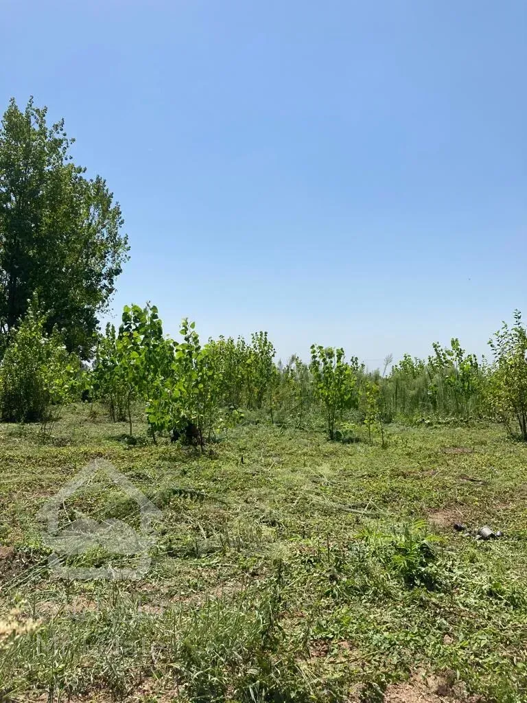 فروش زمین ۱۵۱۰متری در فاصله ی ۱۰دقیقه ی رشت