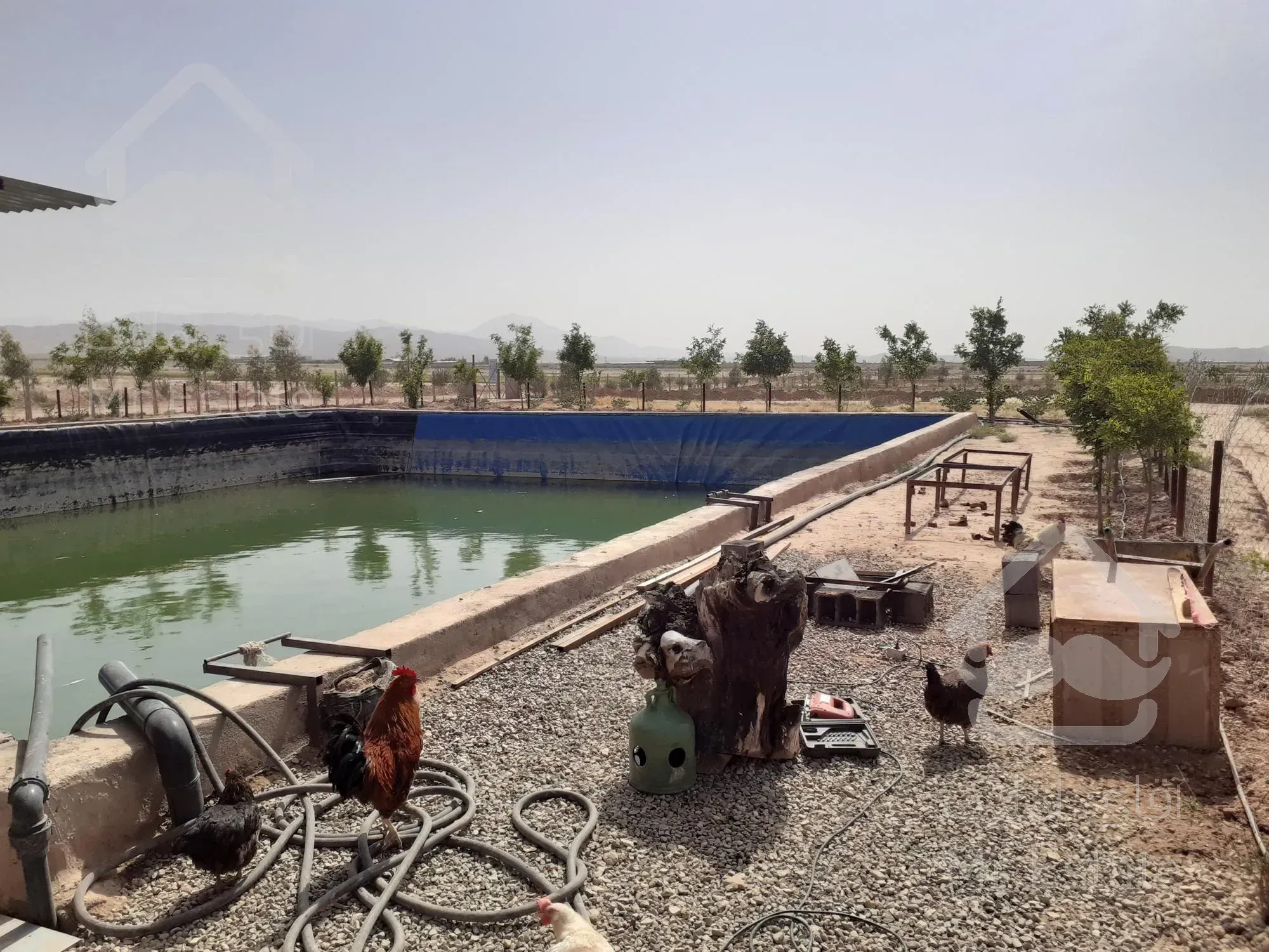 فروش باغ پسته و گلخانه