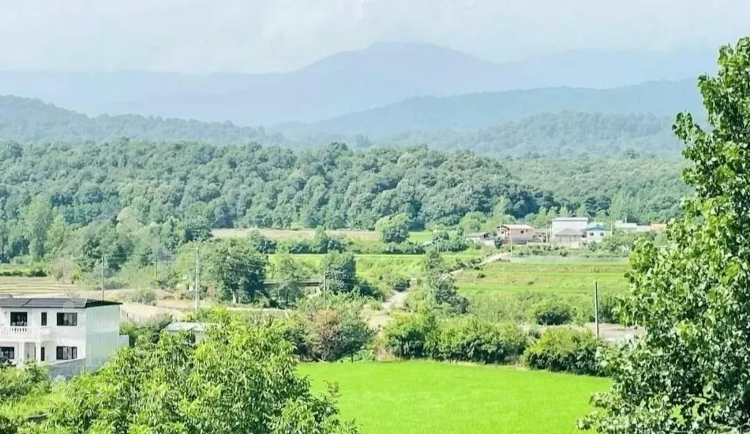 فروش ویلا پلاک اول جنگل با ویو ابدی بهشت