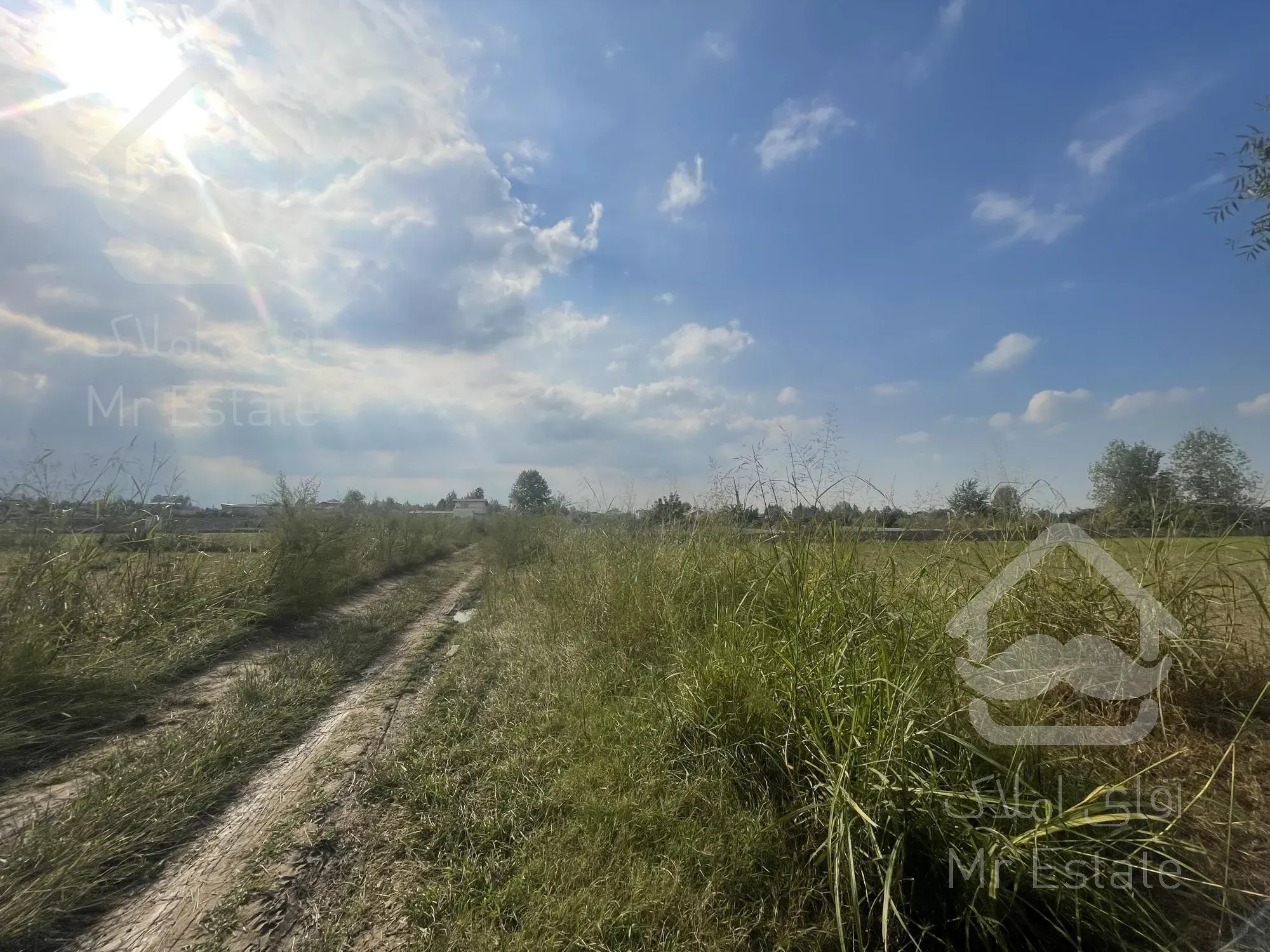 ۴۰۰۰ متر زمین کشاورزی متری ۵۰۰