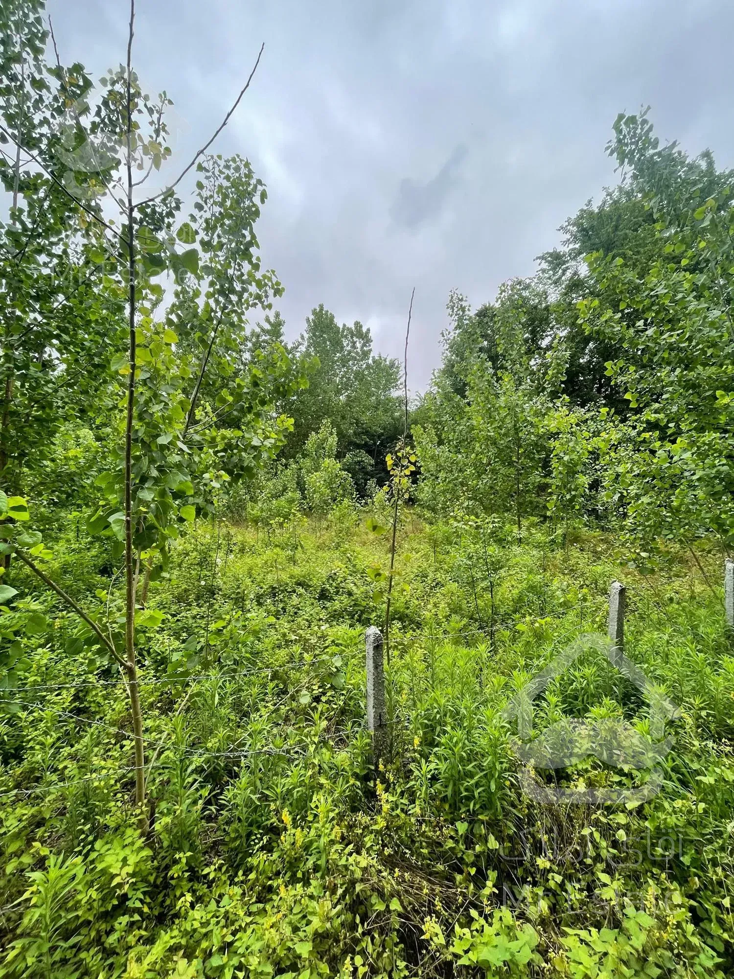 فروش زمین ۲۴۰متری مسکونی در کوچصفهان