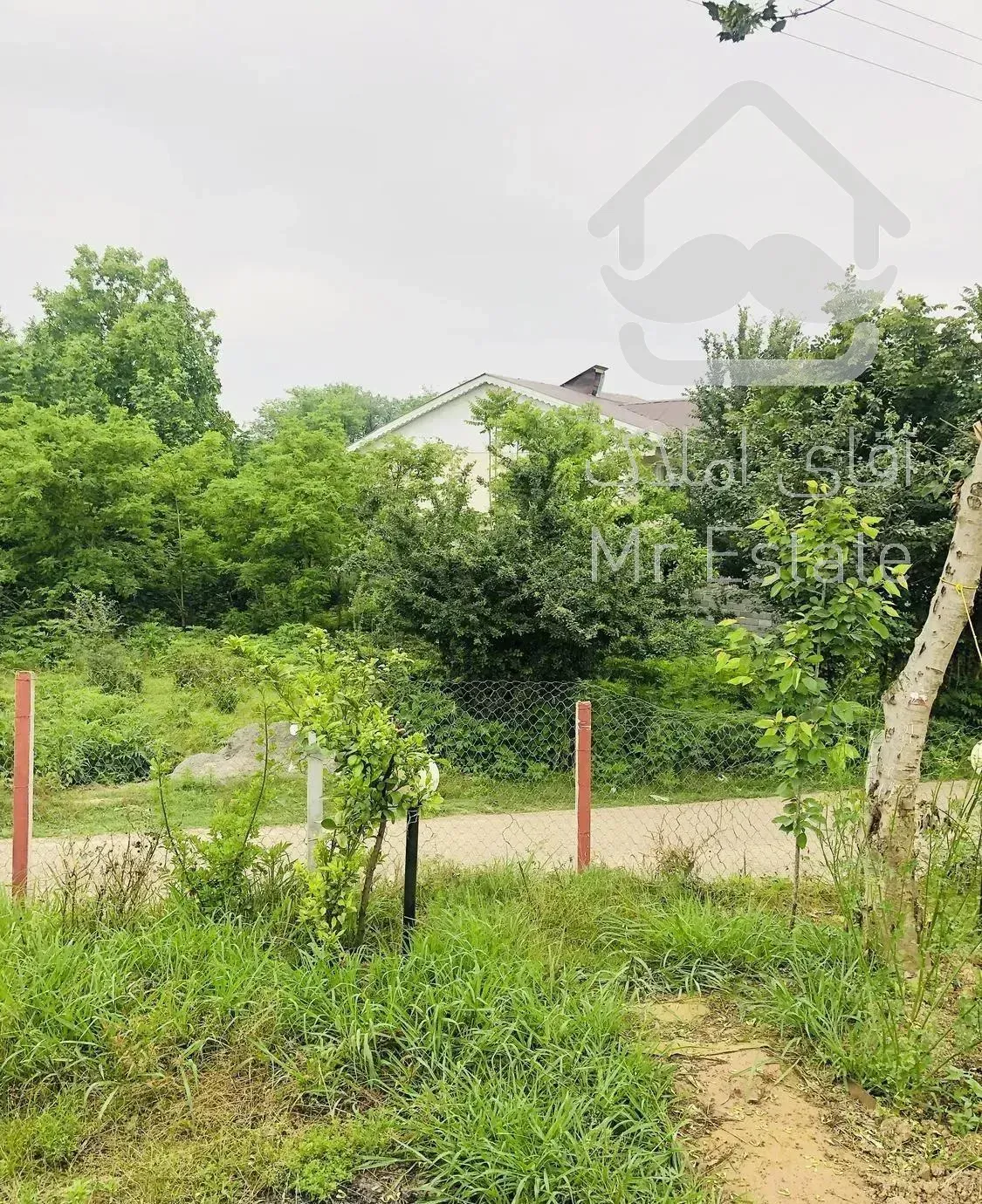 اجاره  ویلا باغ(موشا)