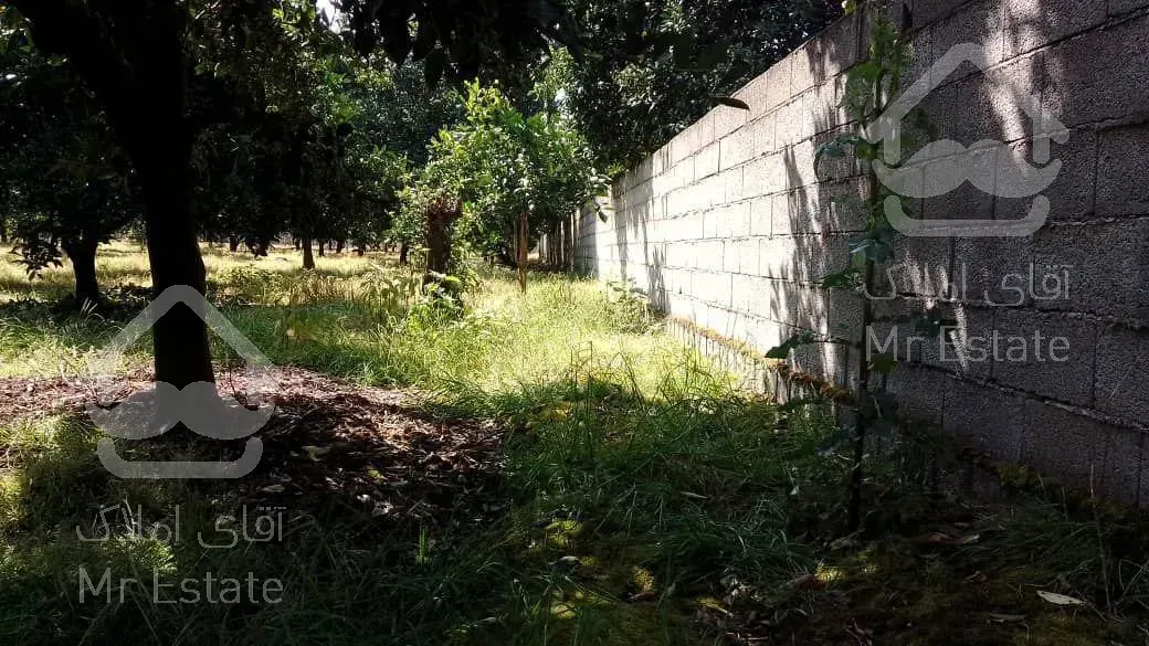 فروش باغ مرکبات و کیوی با قابلیت شهرک سازی