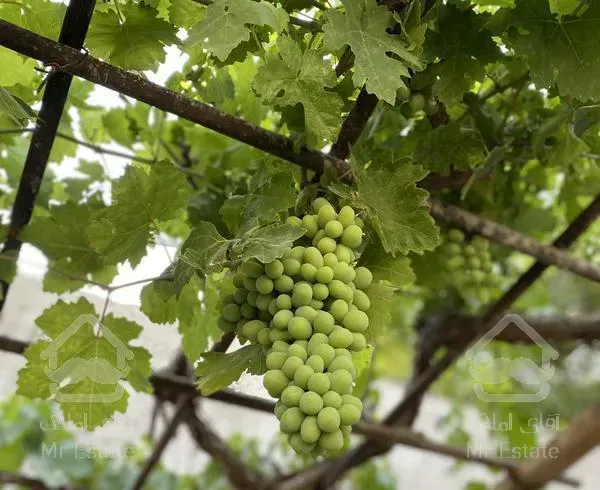 بومهن شهرک کشاورزی ۷۰۰ متر دوبر خوش قواره