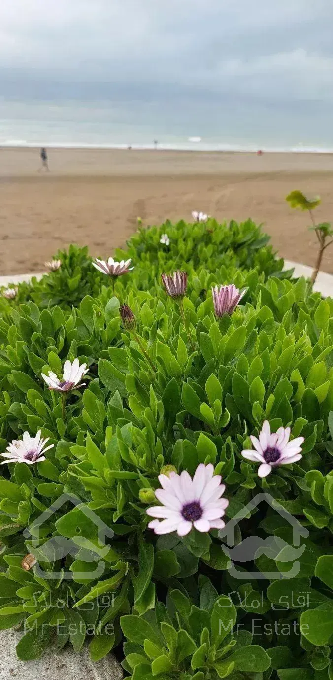 ویلا  آلاچیق دار پلاک اول دریا شیک مناسب تولد