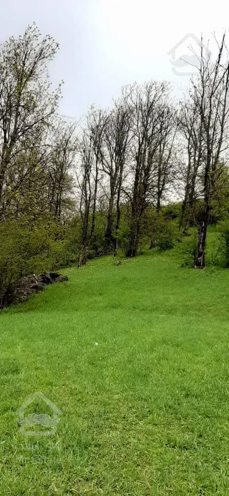 فروش زمین داخل بافت روستای ولی آباد