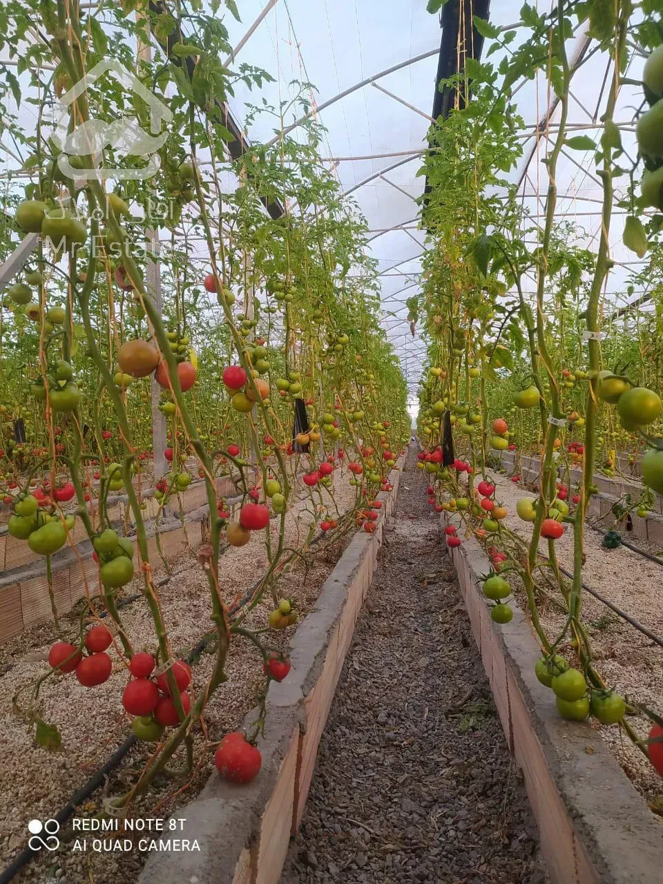 فروش زمین کشاورزی