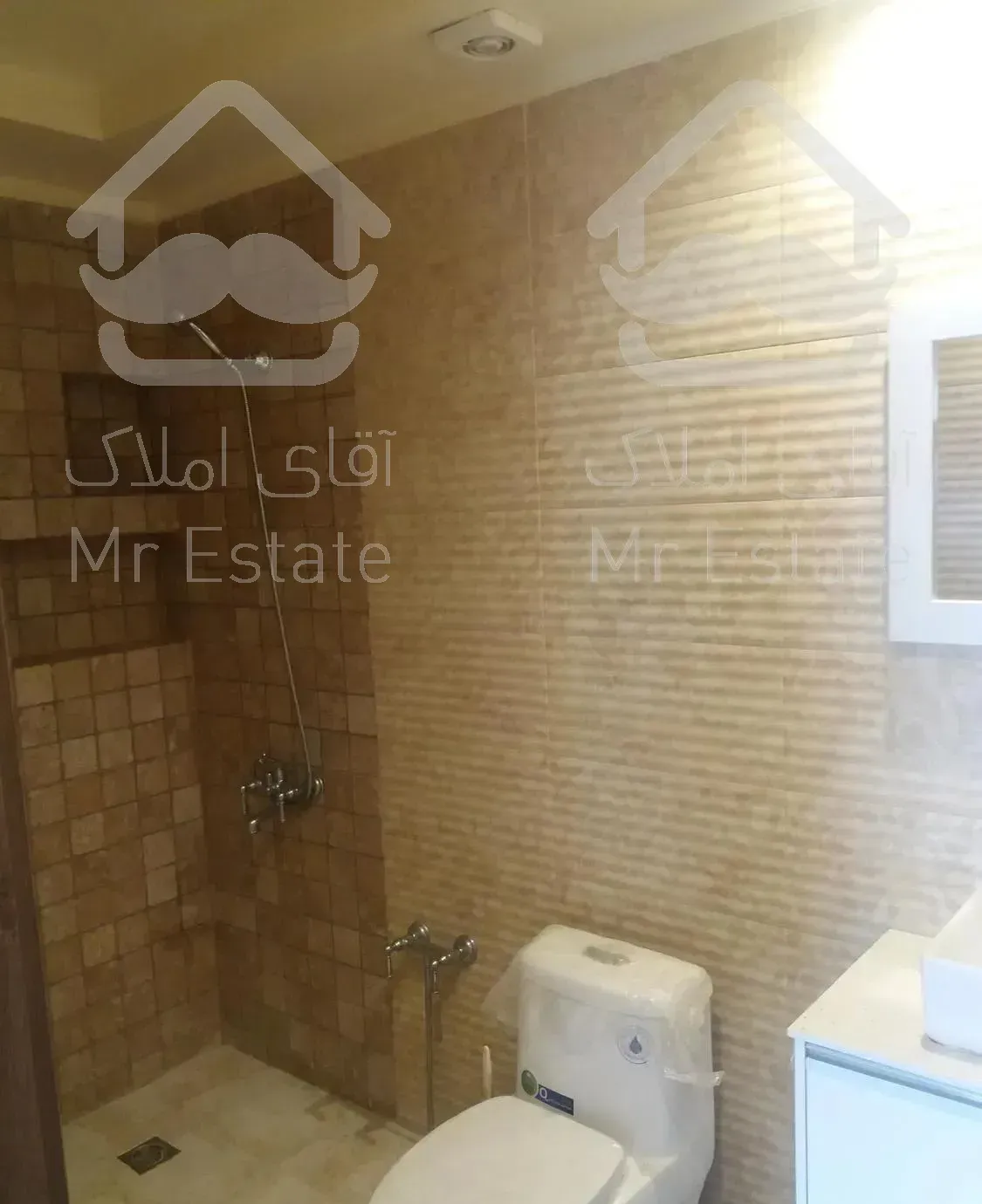 ۶۵ متر شیخ بهایی شمالی