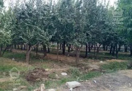 زمین و باغ 360 متری