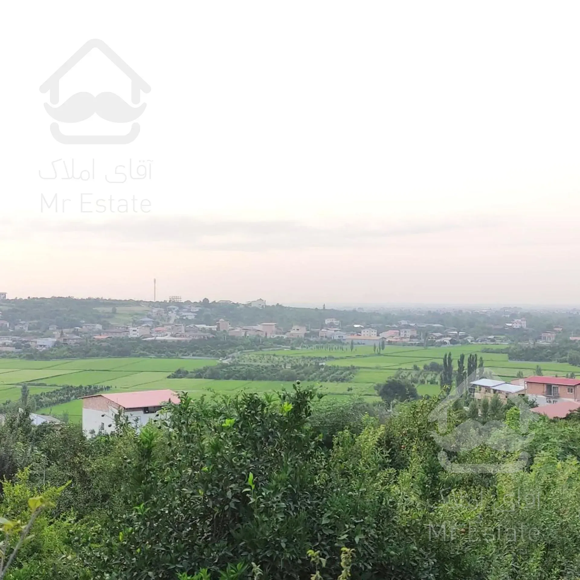 زمینی با بر زیاد و چشم انداز بی نظیر در قائمشهر