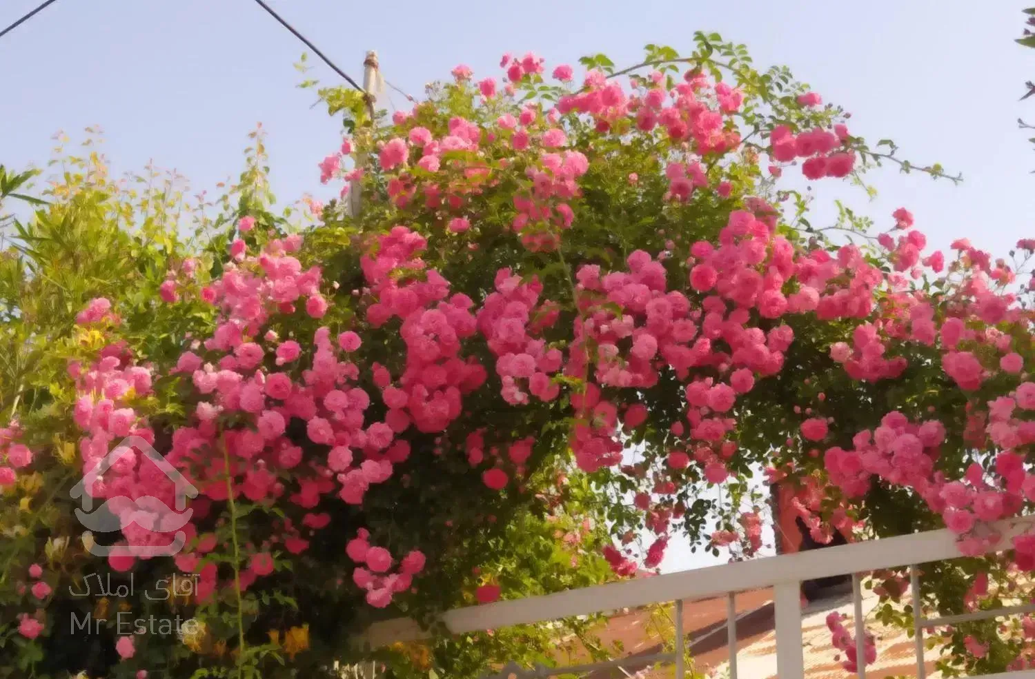 ویلا حوالی بندر انزلی