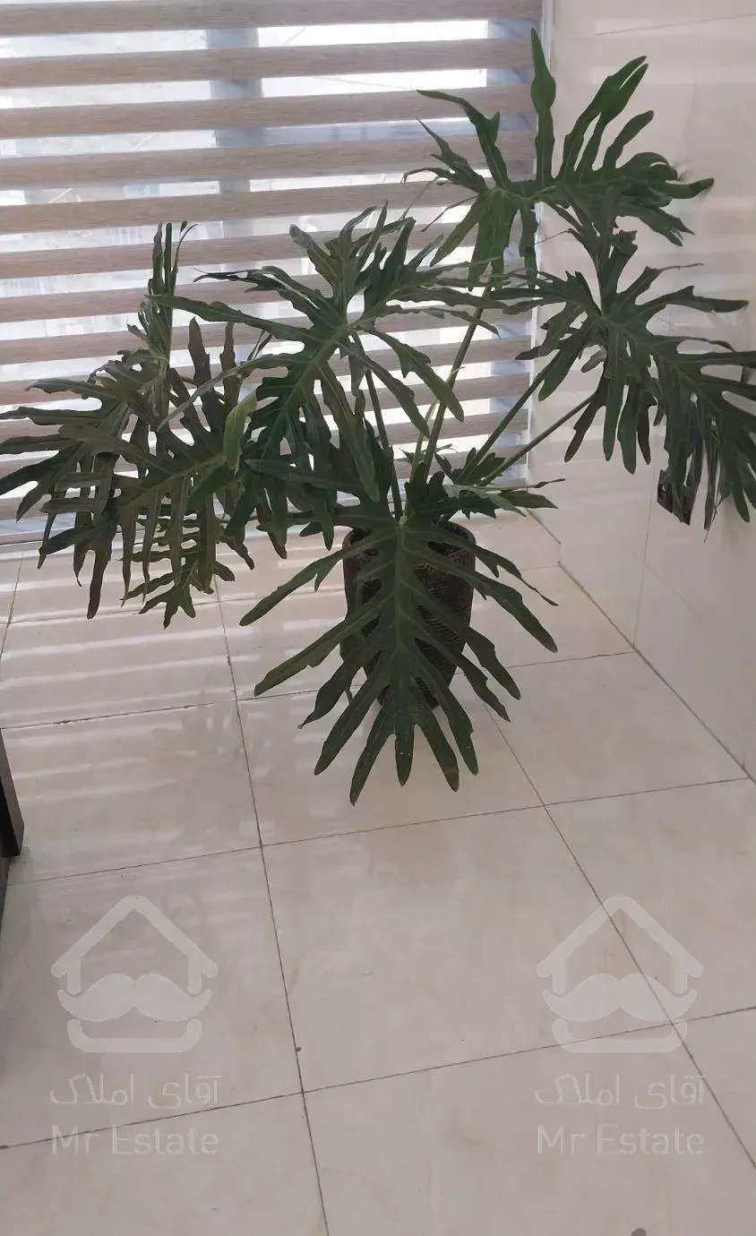 خدمات شرکت خدماتی نظافتی کل کرج با شماره ثبت