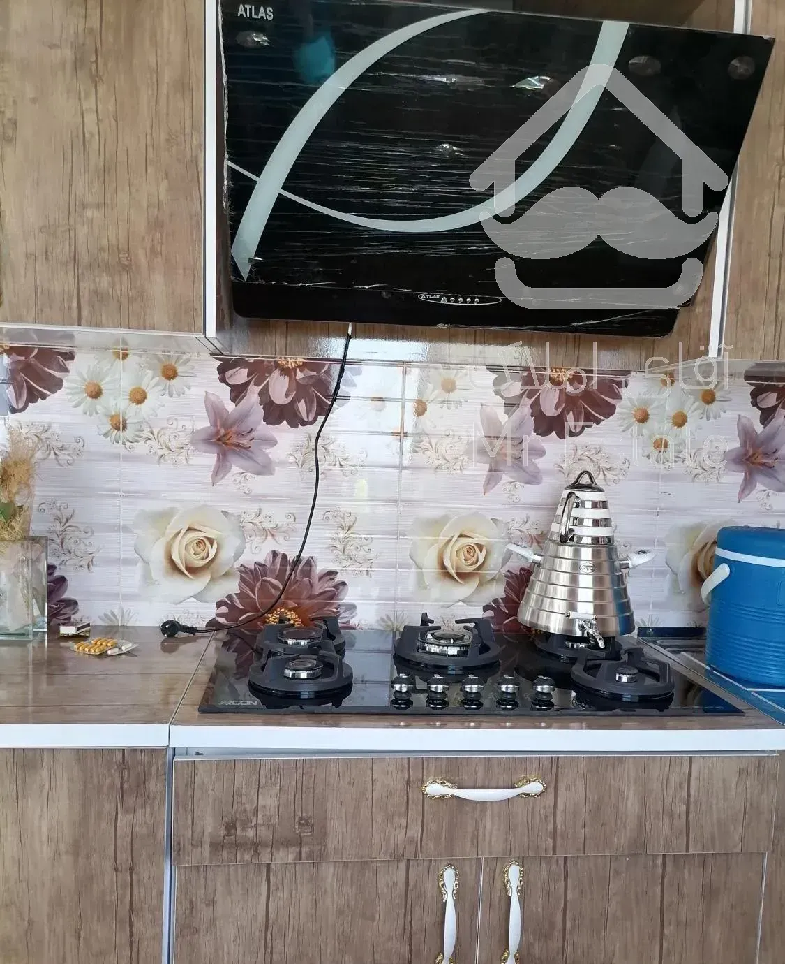 اجاره روزانه ویلا در محیط ارم ودلنشین