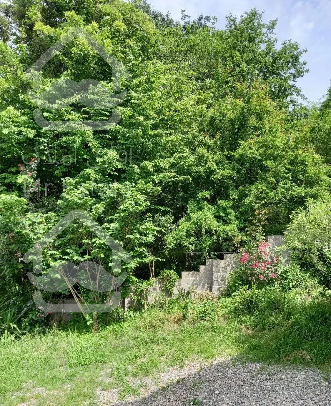 اجاره باغ ویلا تراس دار جاده ماسوله