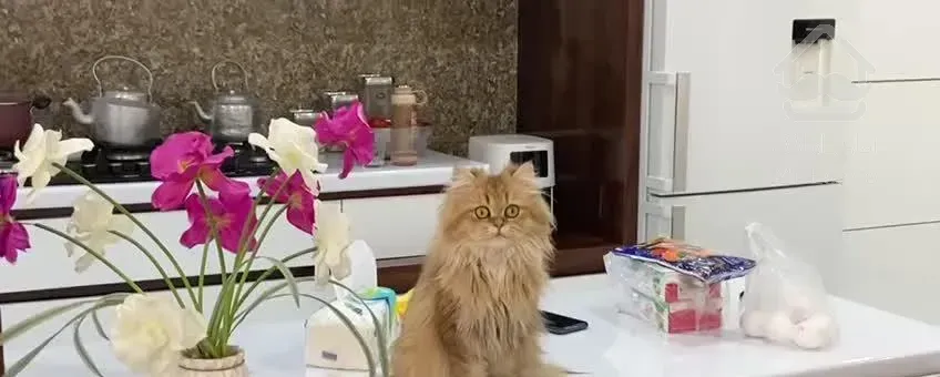 فروش آپارتمان تک واحدی- دونبش- ۱۰۲ متری ۲ خوابه