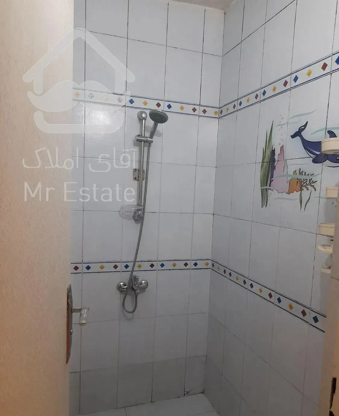 ۶۰ متر / شاهین شمالی