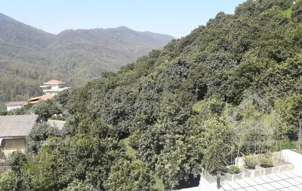 ۴۱۰مترزمین۲۵۵متربناسندششدانگ(جنگلی)