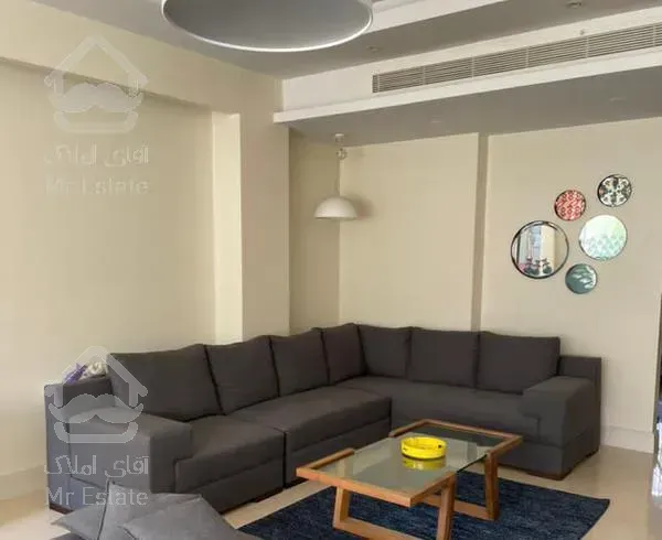 آپارتمان ۱۰۰متر ۲خواب مستر شیک و مدرن در زعفرانیه