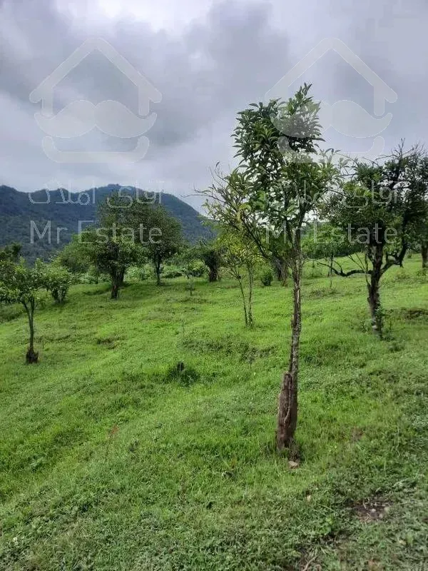 زمین  21000 متر_مناسب ساخت وساز_ رامسر