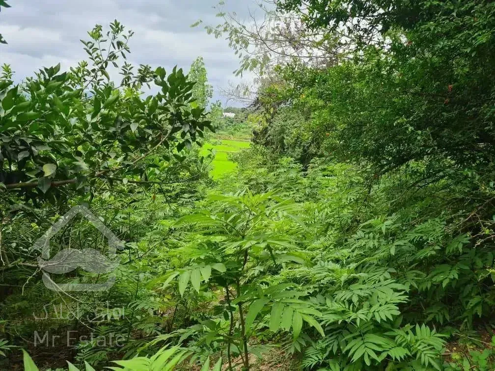 فروش باغ مشجر