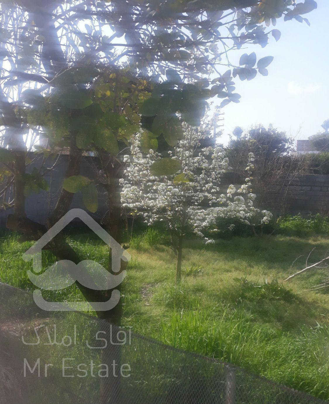 سوییت سرای باغ