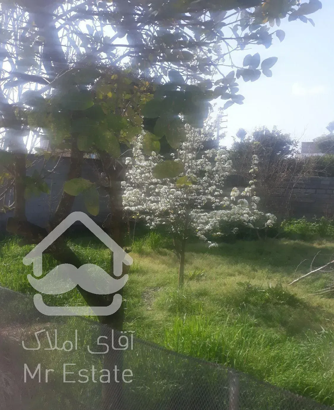 سوییت سرای باغ