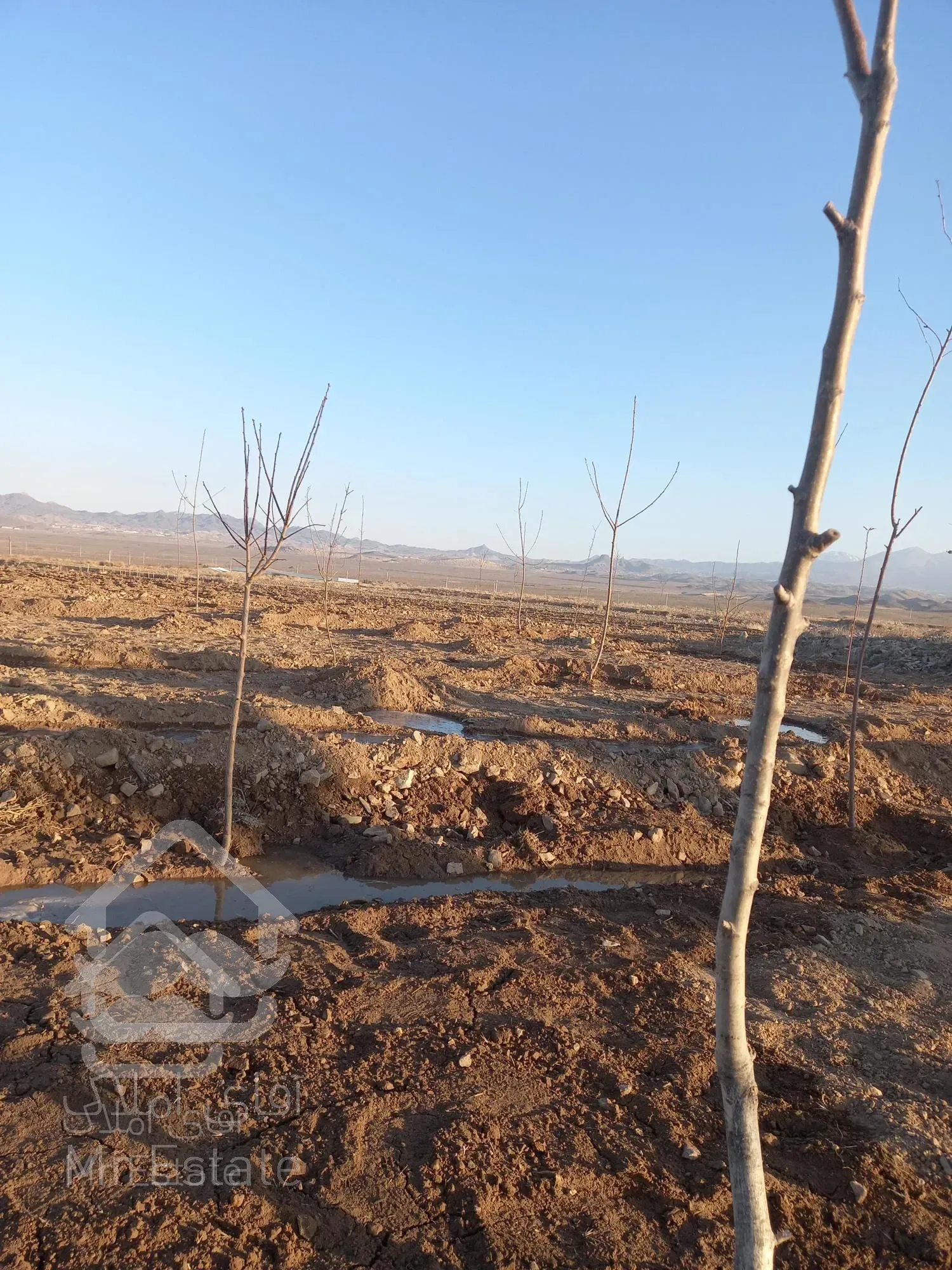 باغچه ۳۰۰متر