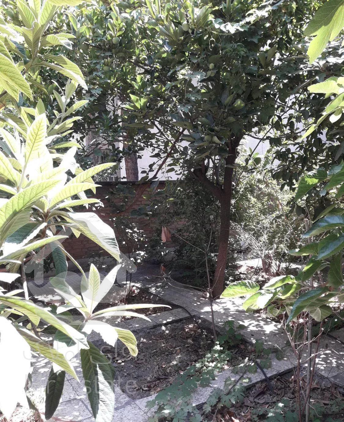 ۱۶۵ متر قدیمی حیاط دار سنایی میدان شعاع