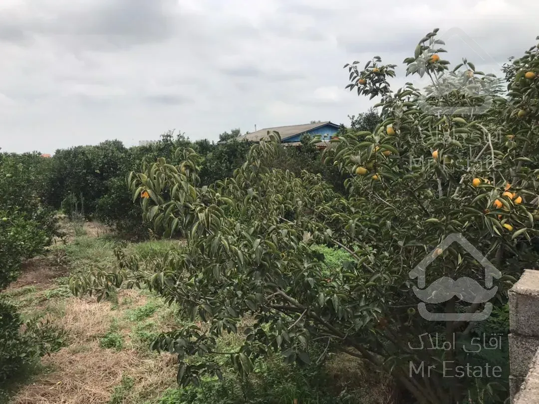 باغ 500مترمربع. محصور. غیربومی. قابل ساخت