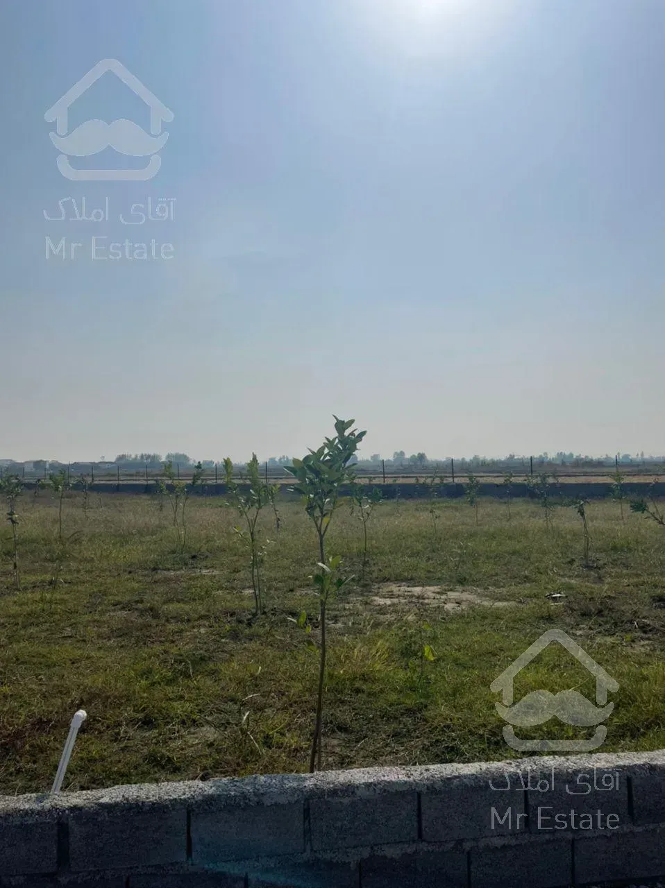 فروش ۷۰۰ متر زمین در جاده سرخرود