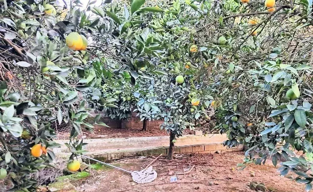 ویلا باغ ۶۷۰ متری دل نشین و دنج و سبز یک فرصت عالی