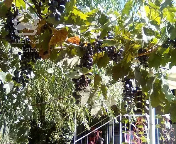 خانه ویلایی ۳۰۰متری تک خواب