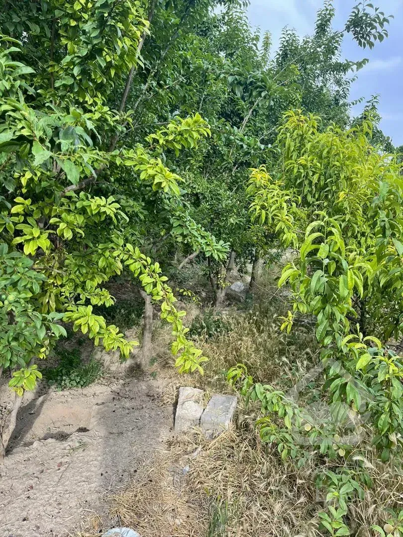 زمين واقع در شهرك لاكچري سرخاب