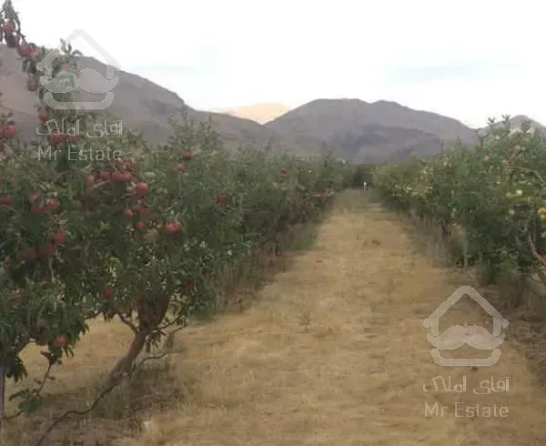 زمین باغ کاربردی